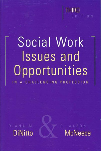 Social Work: Issues and Opportunities in a Challenging Profession cover