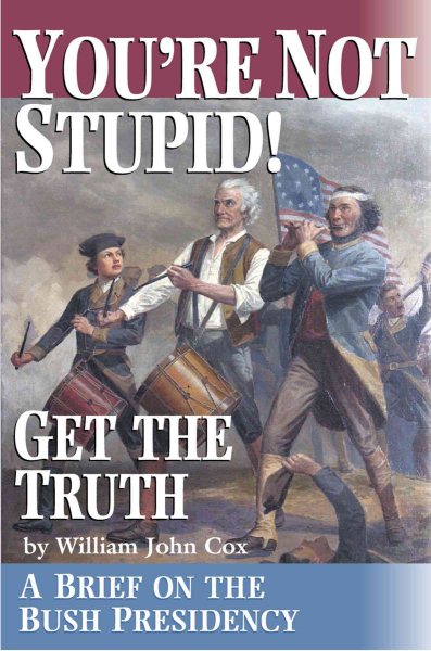 You're Not Stupid! Get the Truth: A Brief on the Bush Presidency cover