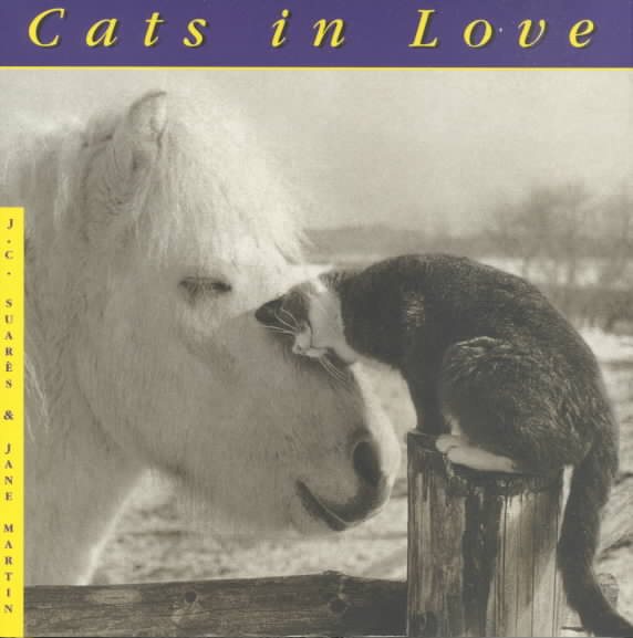 Cats In Love cover