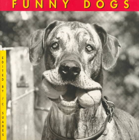 Funny Dogs cover