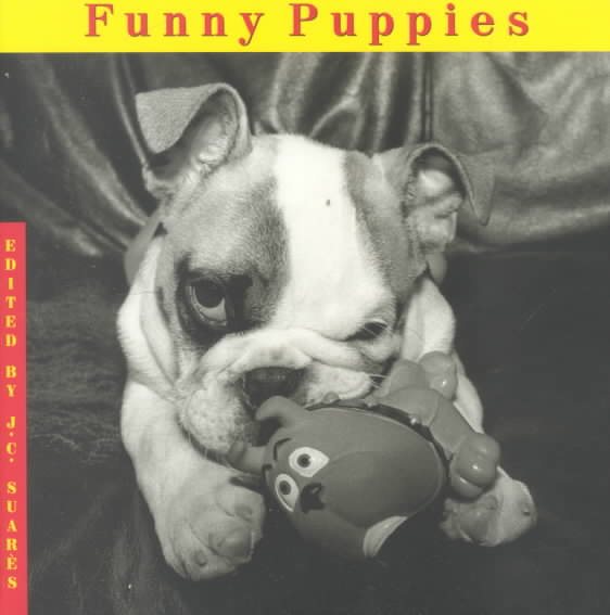 Funny Puppies (Welcome Books (Steward Tabori & Chang)) cover