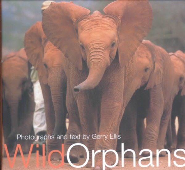 Wild Orphans cover
