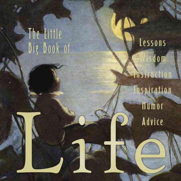 Little Big Book Of Life cover