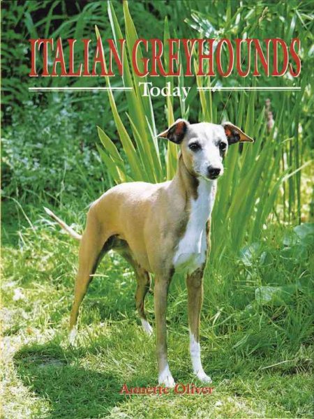 Italian Greyhounds Today cover