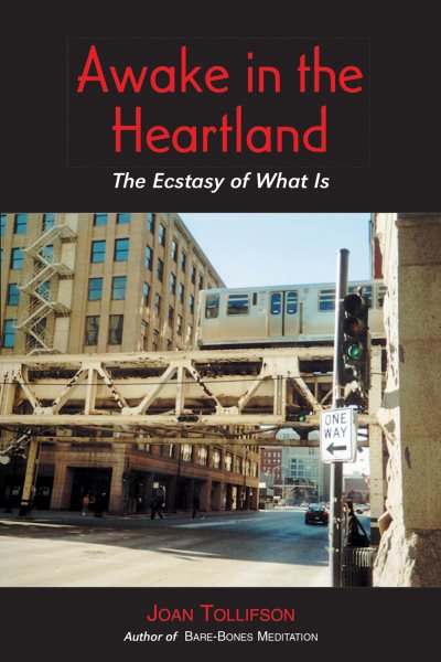 Awake in the Heartland: The Ecstasy of What Is cover