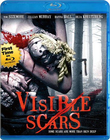 Visible Scars [Blu-ray] cover