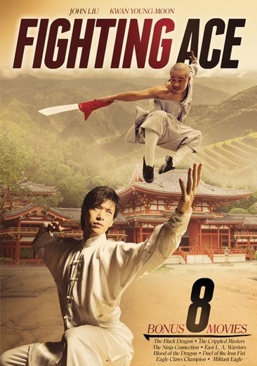 Fighting Ace Includes 8 Bonus Movies cover