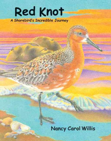 Red Knot: A Shorebird's Incredible Journey cover