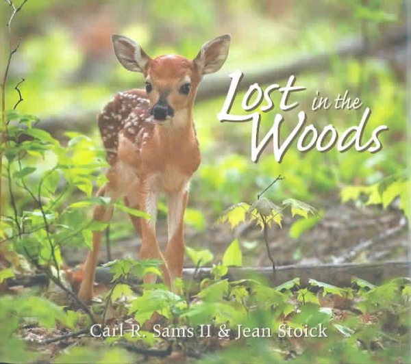 Lost In The Woods: A Photographic Fantasy cover