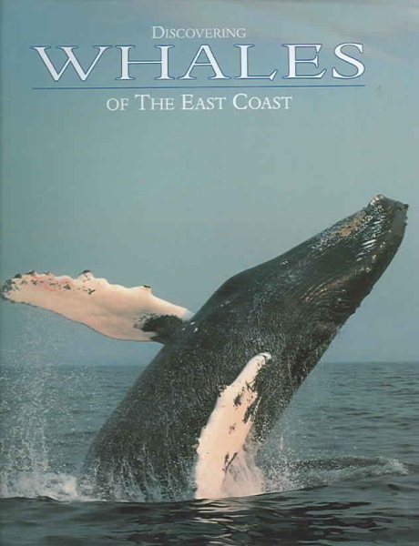 Discovering Whales of the East Coast cover