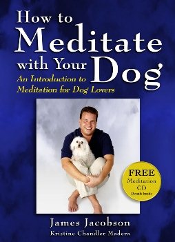 How to Meditate with Your Dog: An Introduction to Meditation for Dog Lovers cover