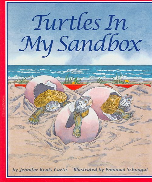 Turtles In My Sandbox (Arbordale Collection)