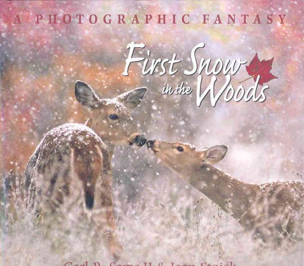 First Snow in the Woods: A Photographic Fantasy cover