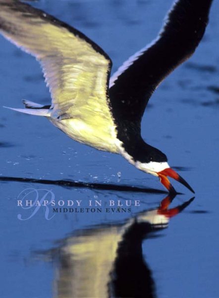 Rhapsody in Blue (A Celebration of North American Waterbirds) cover
