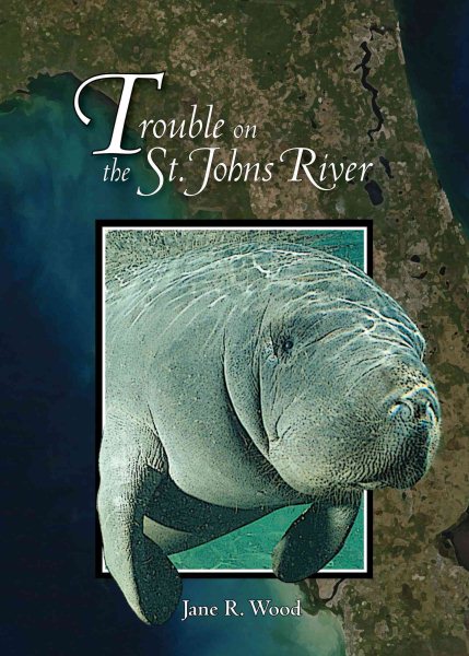Trouble on the St. Johns River (Mom's Choice Awards Winner 2009) cover