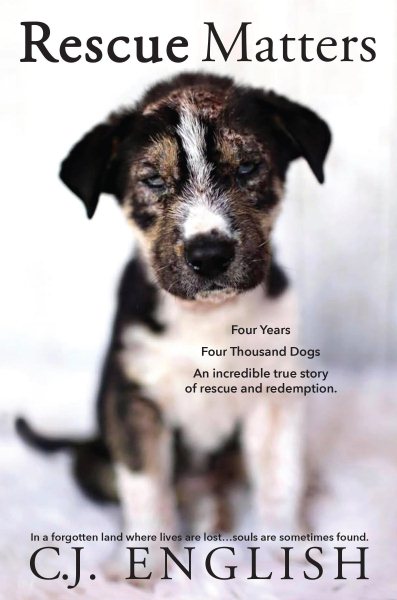 Rescue Matters: Four years. Four thousand dogs. An incredible true story of rescue and redemption. cover