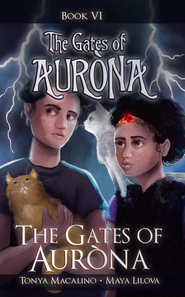 Into the Hare Wood: The Gates of Aurona Chapter Book Series (Volume 1) cover
