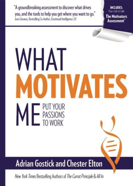 What Motivates Me: Put Your Passions to Work cover