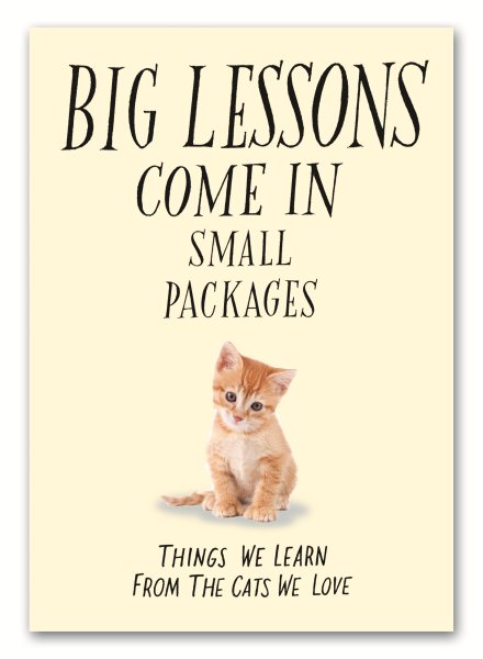 Big Lessons Come in Small Packages