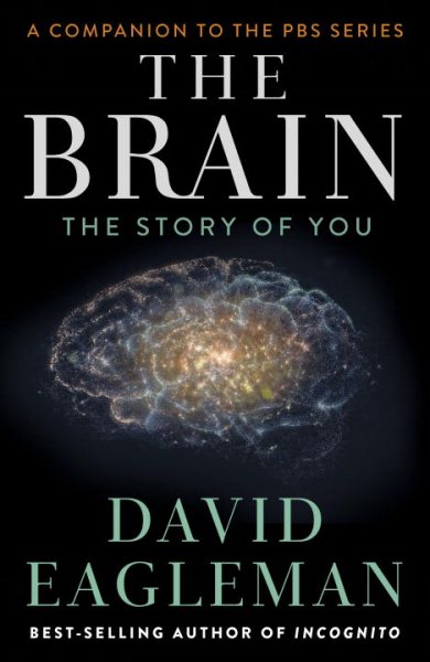 The Brain: The Story of You cover