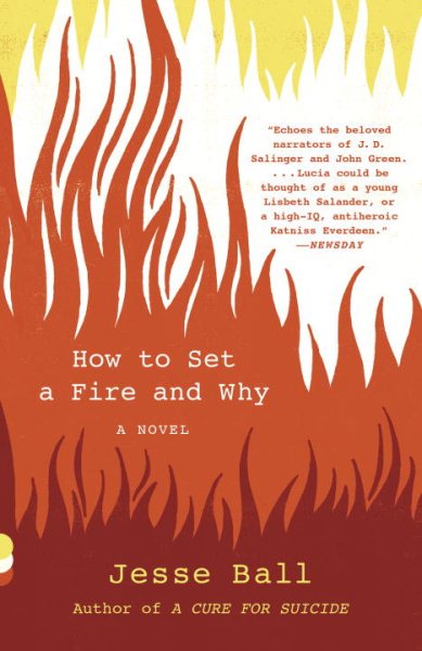 How to Set a Fire and Why: A Novel (Vintage Contemporaries) cover