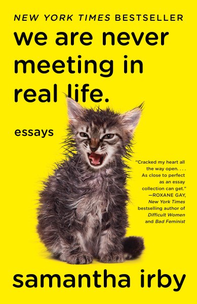 We Are Never Meeting in Real Life.: Essays cover