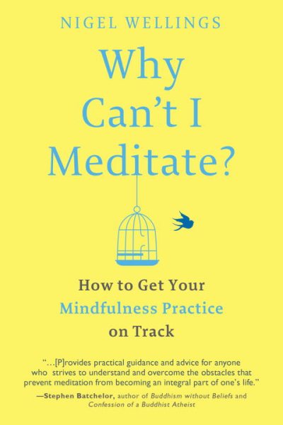 Why Can't I Meditate?: How to Get Your Mindfulness Practice on Track cover