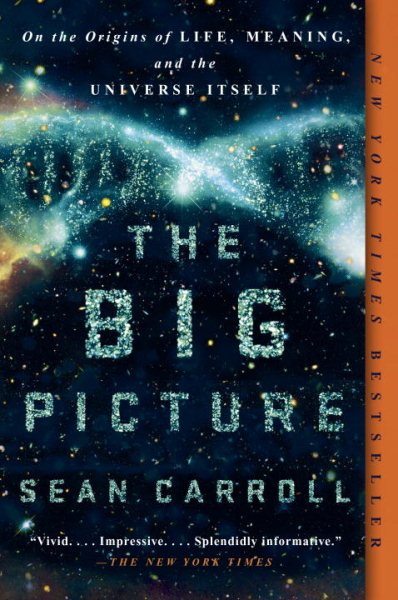 The Big Picture: On the Origins of Life, Meaning, and the Universe Itself cover