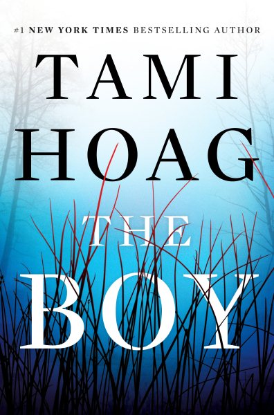 The Boy: A Novel cover