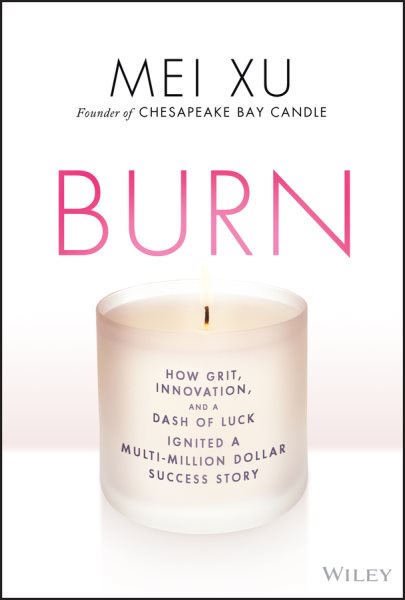 Burn: How Grit, Innovation, and a Dash of Luck Ignited a Multi-Million Dollar Success Story cover