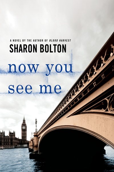 Now You See Me: A Lacey Flint Novel (Lacey Flint Novels, 1) cover