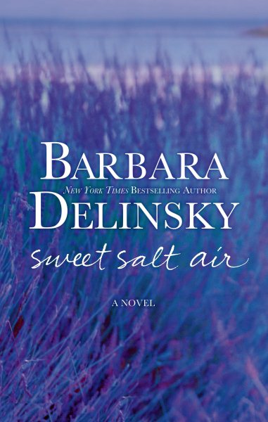 Sweet Salt Air: A Novel cover