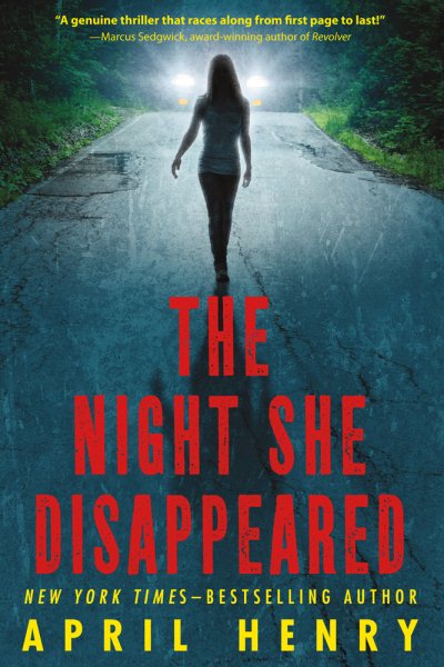 The Night She Disappeared cover