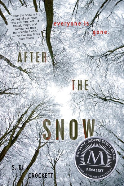After the Snow (After the Snow, 1) cover
