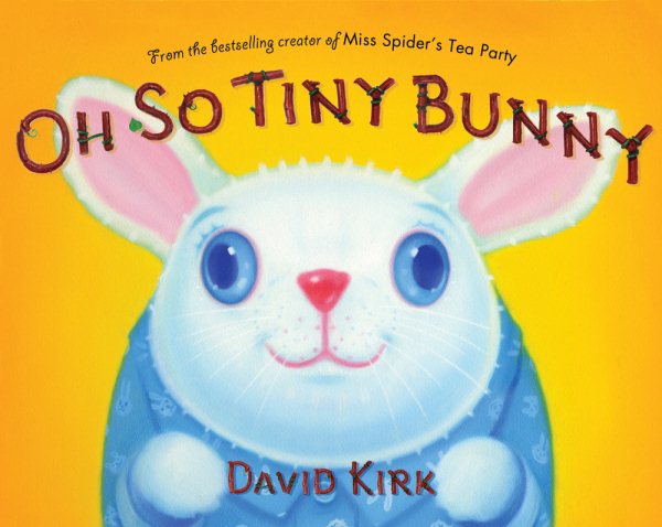 Oh So Tiny Bunny: A Picture Book cover