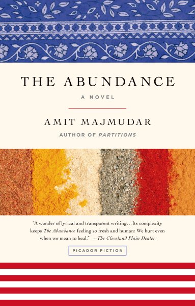 The Abundance: A Novel cover