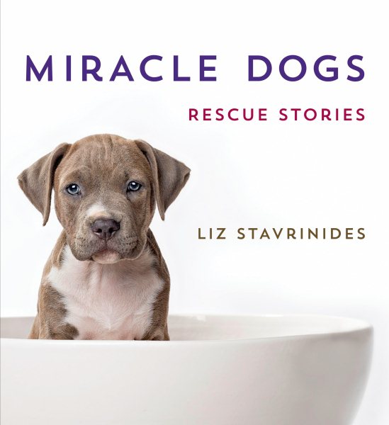 Miracle Dogs: Rescue Stories cover