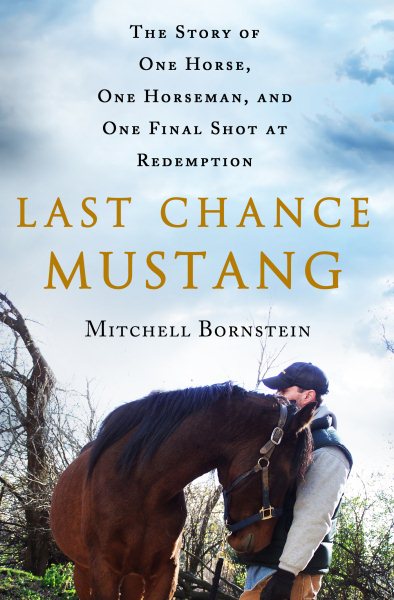 Last Chance Mustang: The Story of One Horse, One Horseman, and One Final Shot at Redemption cover