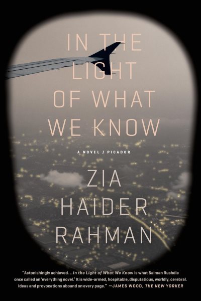 In the Light of What We Know: A Novel cover