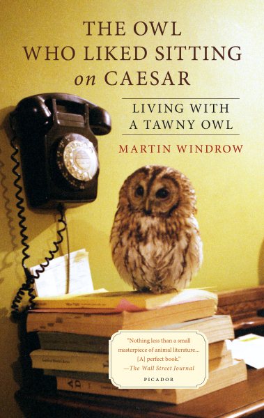 The Owl Who Liked Sitting on Caesar: Living with a Tawny Owl cover