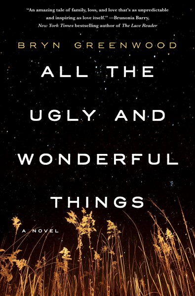 All the Ugly and Wonderful Things: A Novel cover