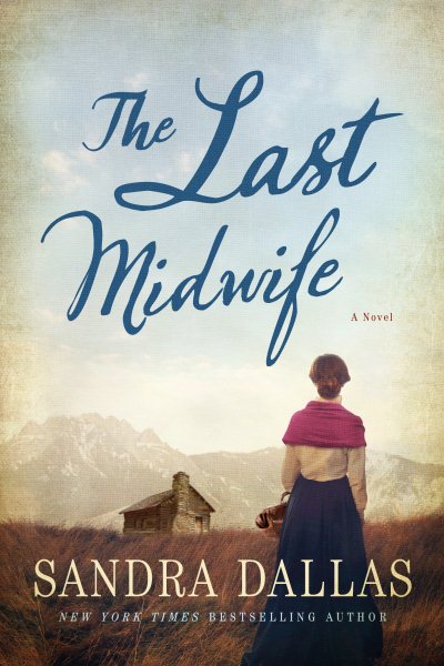 The Last Midwife: A Novel cover