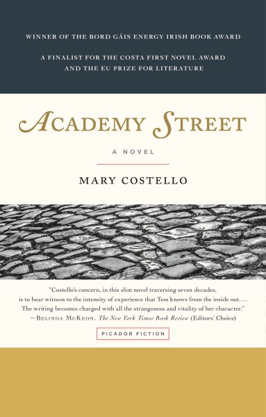 Academy Street: A Novel cover