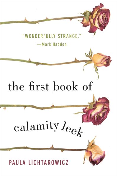 The First Book of Calamity Leek: A Novel cover