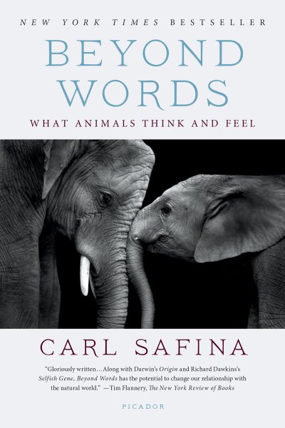 Beyond Words: What Animals Think and Feel cover