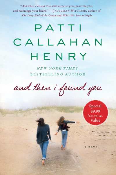 And Then I Found You: A Novel cover