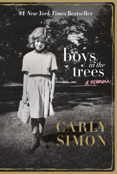 Boys in the Trees: A Memoir cover