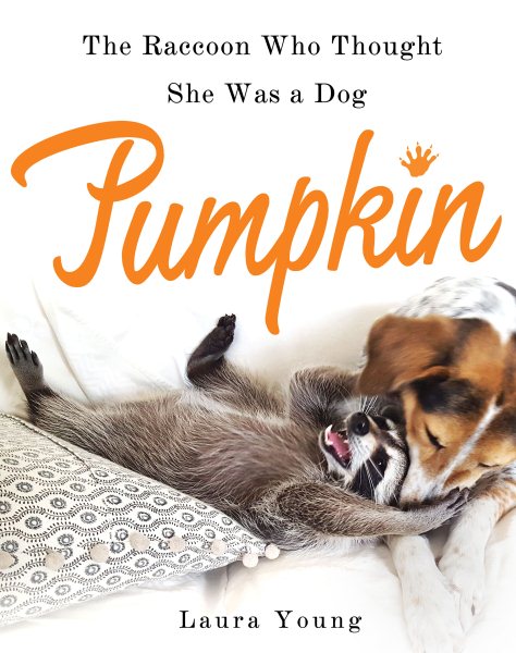 Pumpkin: The Raccoon Who Thought She Was a Dog cover
