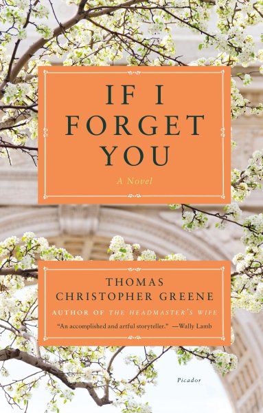 If I Forget You: A Novel cover
