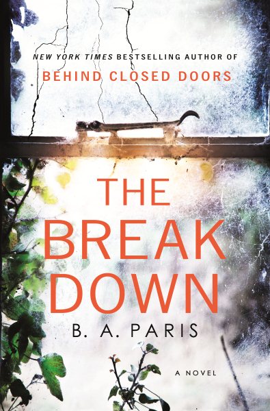 The Breakdown: A Novel cover